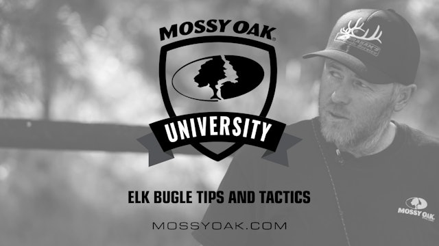 Elk Bugle Tips and Tactics