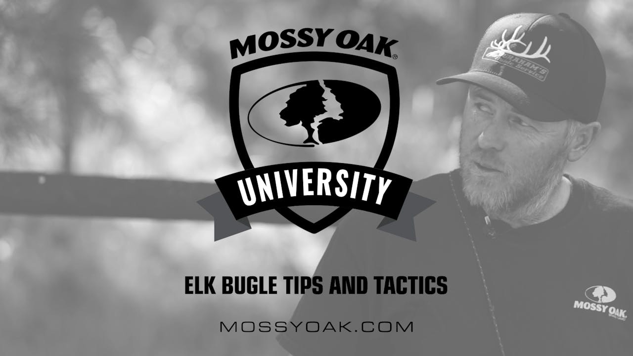 Elk Bugle Tips and Tactics Season 1 Mossy Oak GO