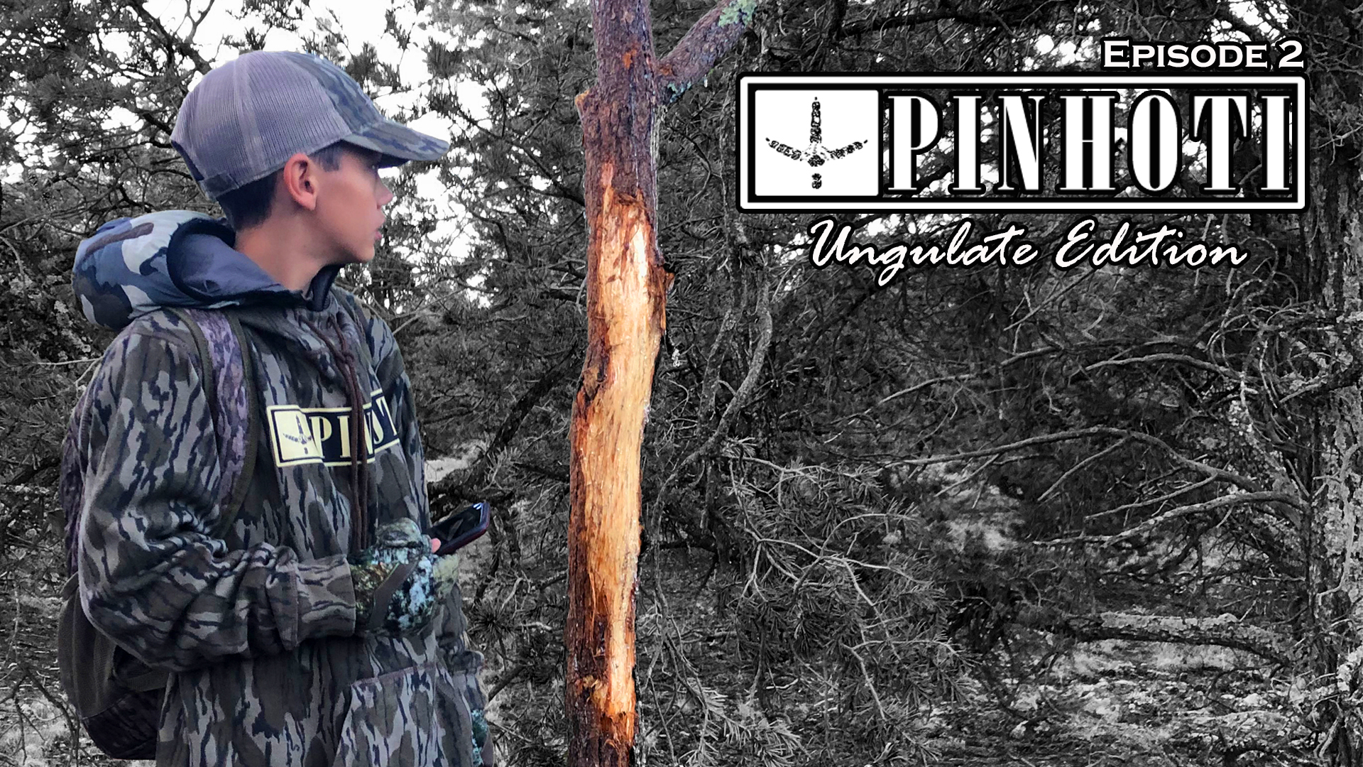 Ungulate Edition Ep2 • Pinhoti Project