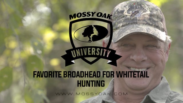 Favorite Broadhead for Whitetail Hunt...