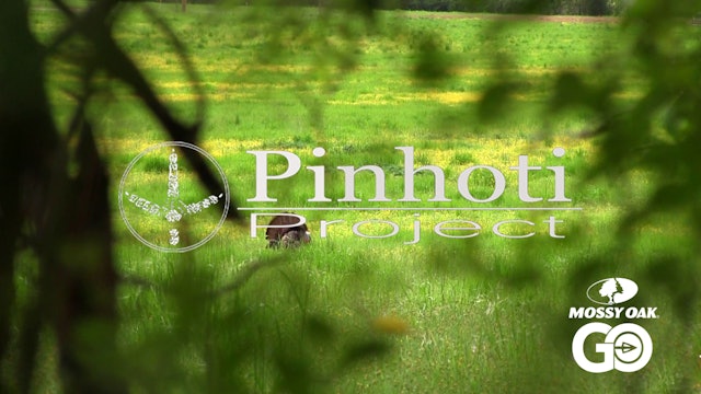 She Kills A Giant Eastern Gobbler In Miserable Weather • Pinhoti Project Day 40