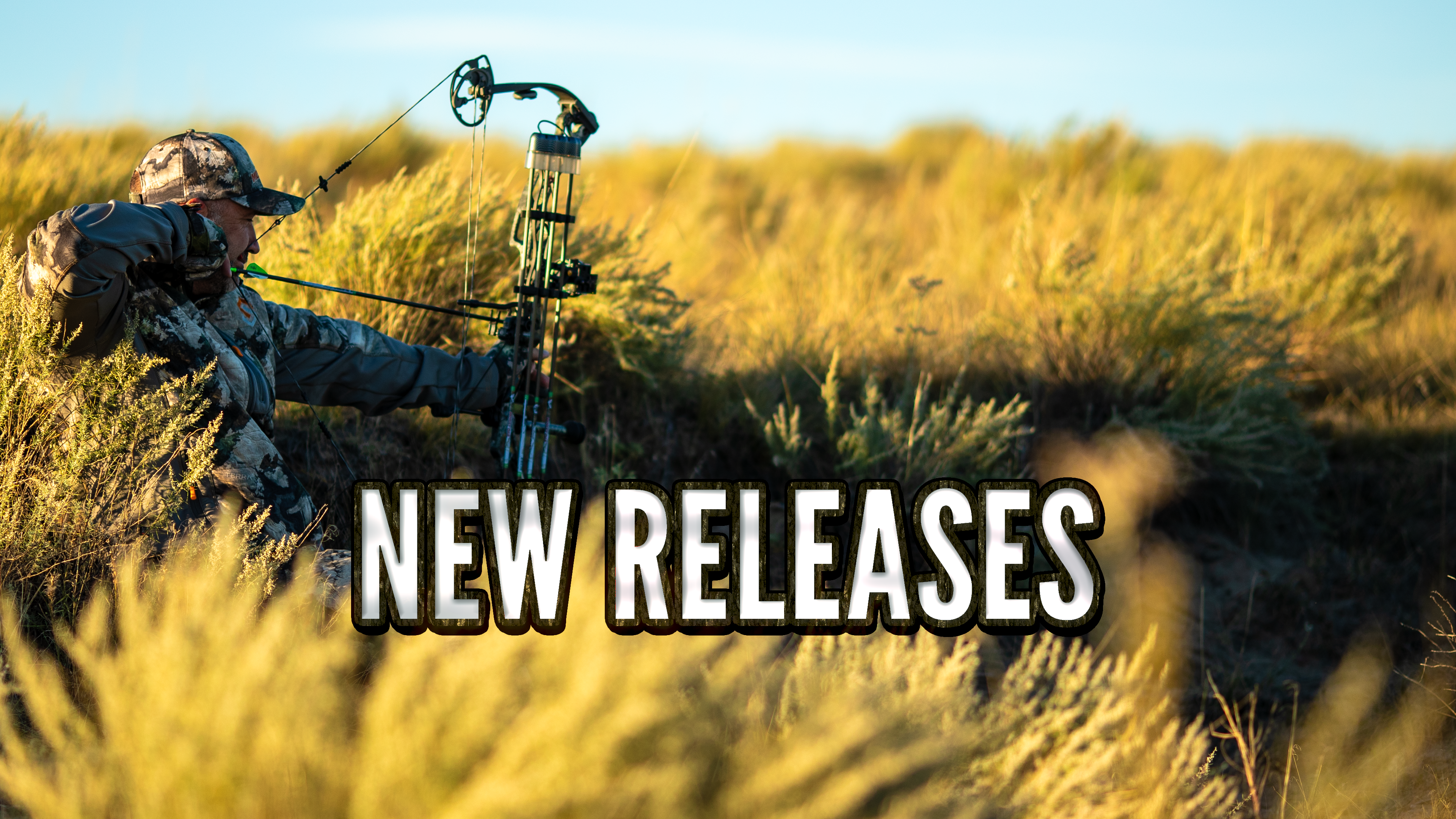 New Releases