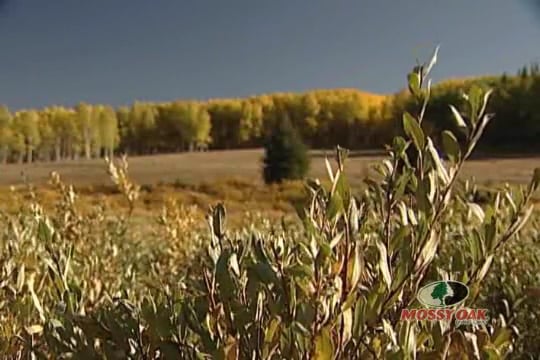 All Business • Rifle Hunting for Antelope in Wyoming