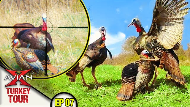 THREE Longbeards Down! Dekes Destroye...