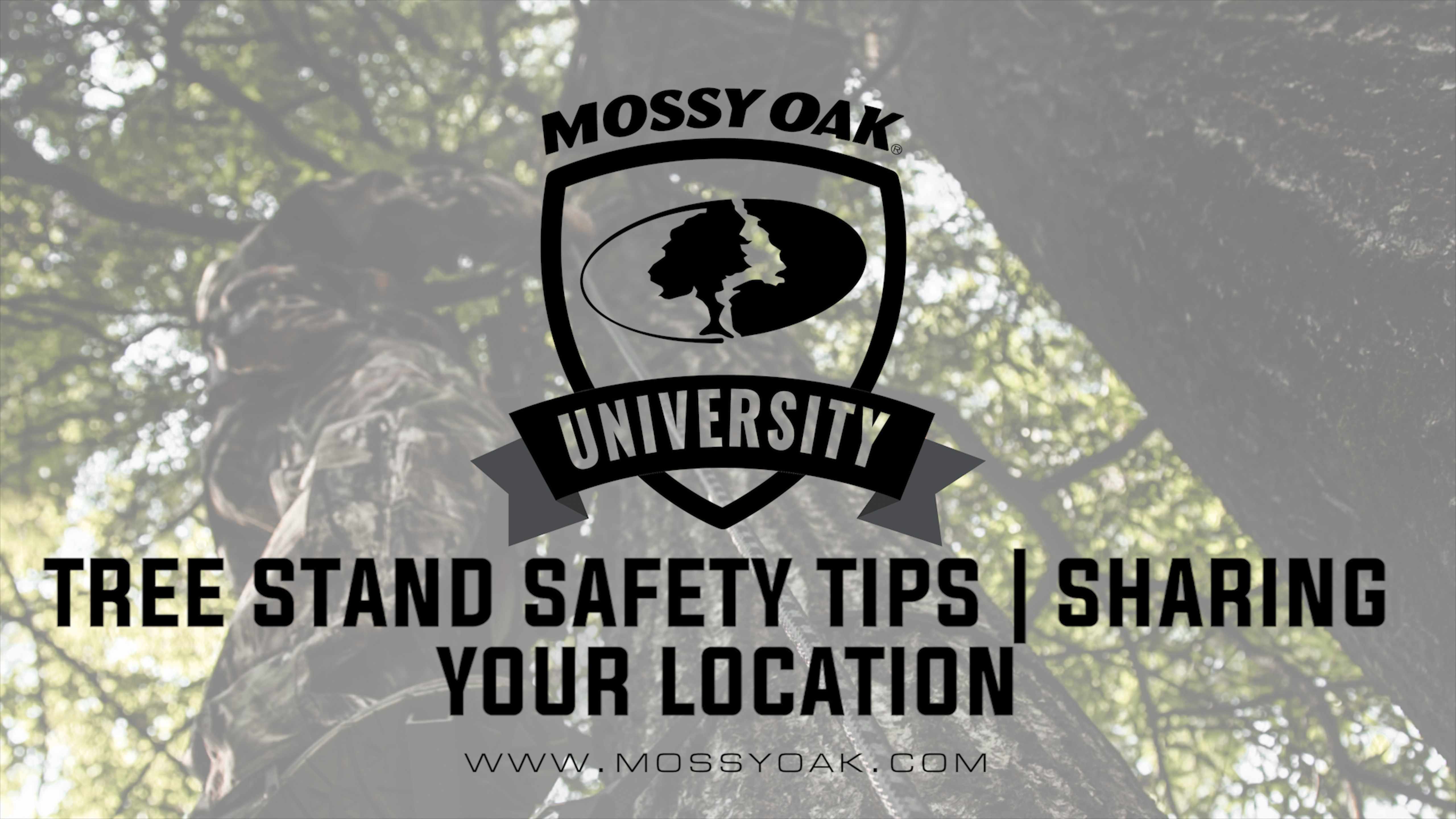 Tree Stand Safety Tips • Sharing Your Location