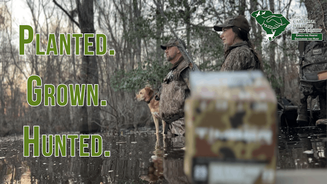 Planted. Grown. Hunted. • Enrich The ...