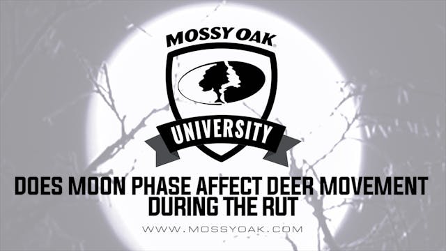 Does Moon Phase Affect Deer Movement ...