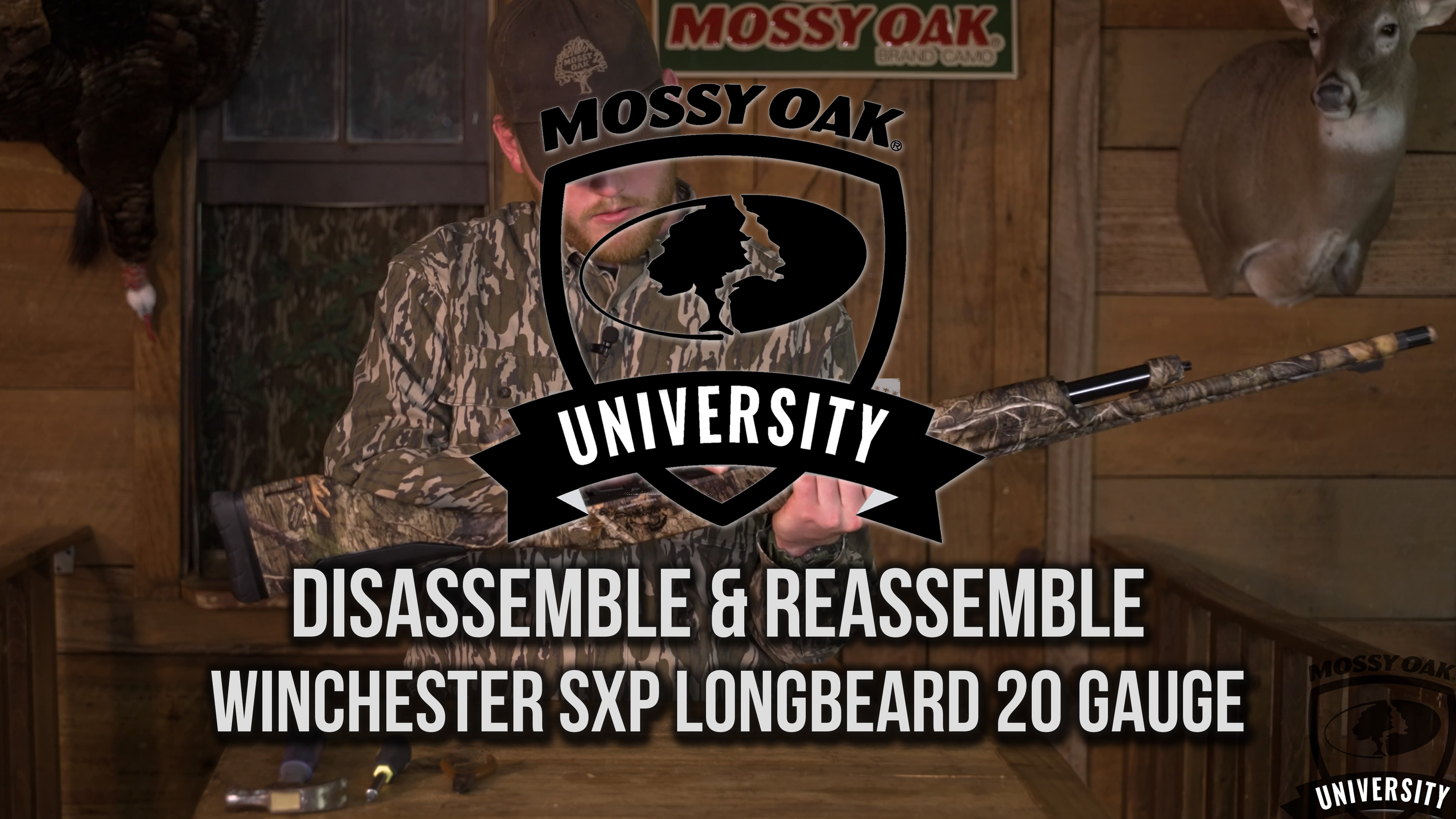 Disassemble & Reassemble Winchester SXP Longbeard 20 Gauge