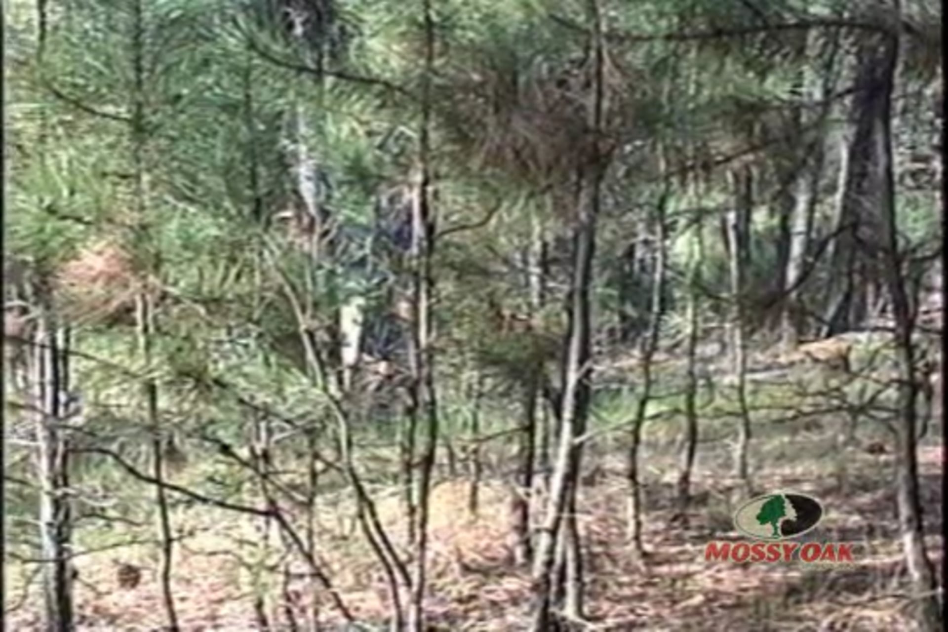 Back in the Day • Water Buck Hunt in Mississippi