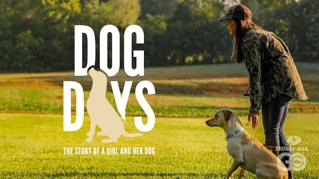 Dog Days: The story of a girl and her...