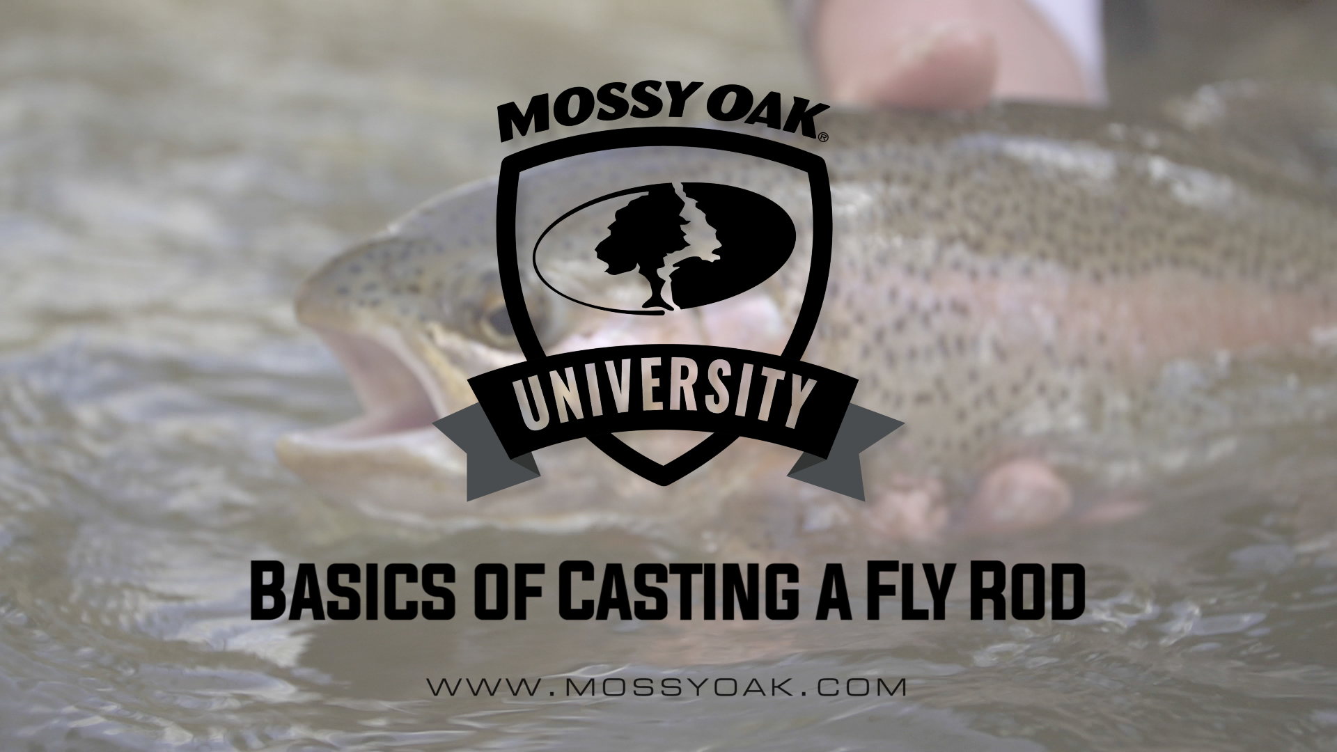 Basics of Casting a Fly Rod • Mossy Oak University