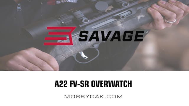 Savage Arms • A22 FV-SR