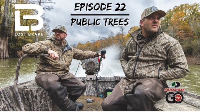 Lost Brake • Public Trees • Episode 22