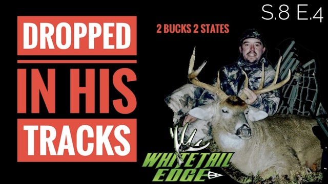 Dropped In His Tracks • Whitetail Edge