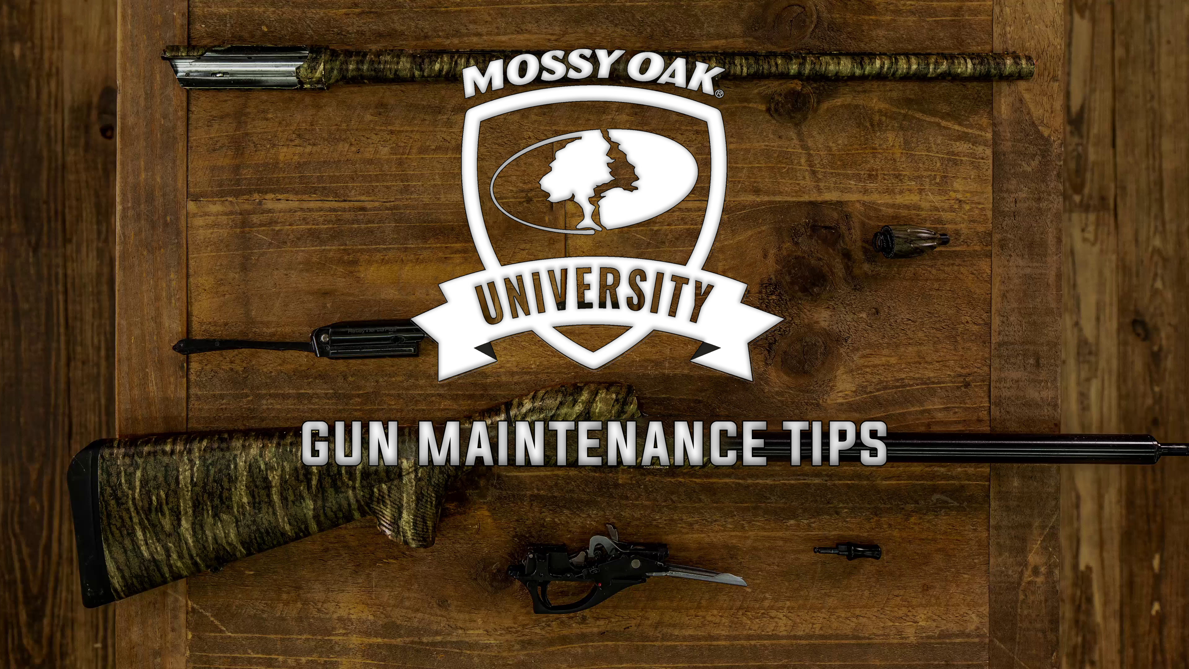 Gun Maintenance Tips