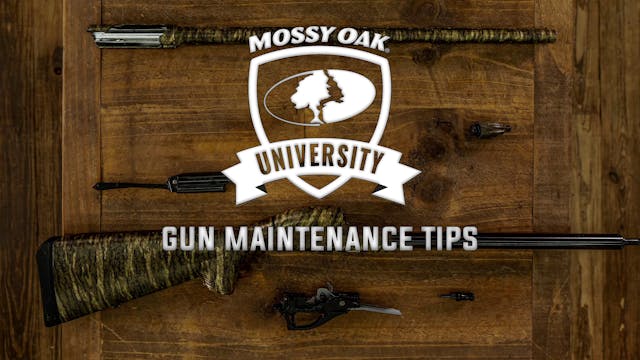 Gun Maintenance Tips