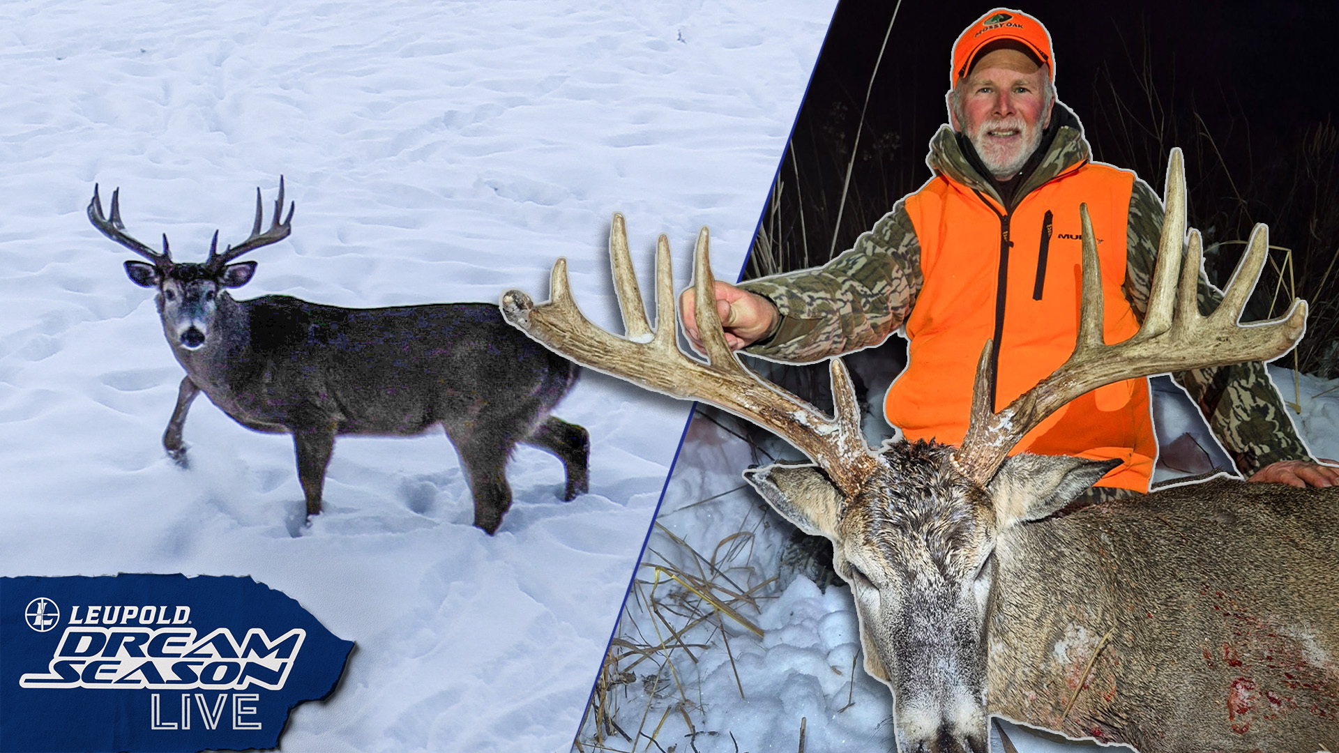 Hunting the “Two Footer” Buck, A Wisconsin Monster | Dream Season Live