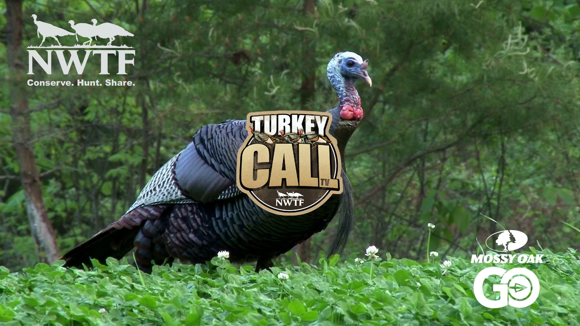 The Rohm Family • NWTF