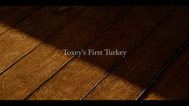 Toxey Haas' First Turkey • The Fabric...
