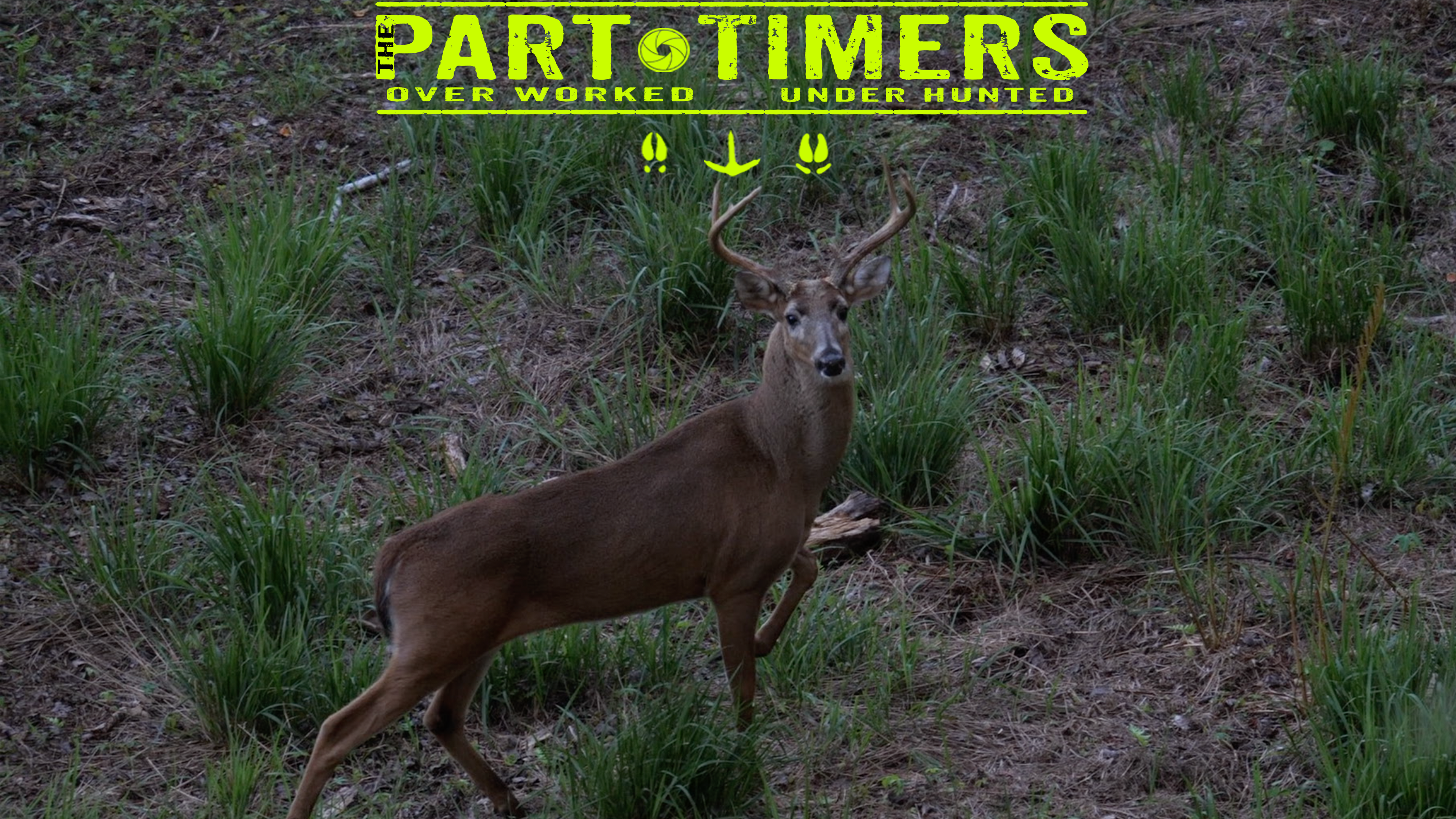 Hoyt Shoots Huge FL 7pt • The Part Timers