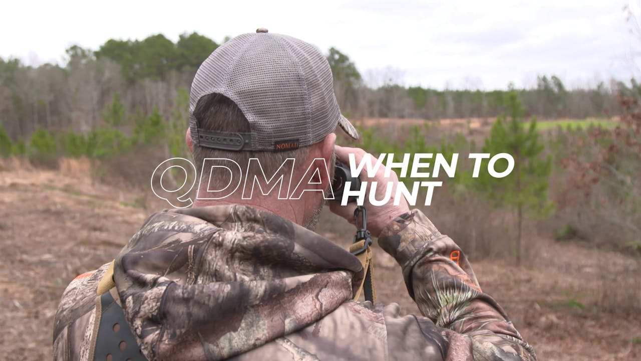 When to Hunt Mossy Oak GO