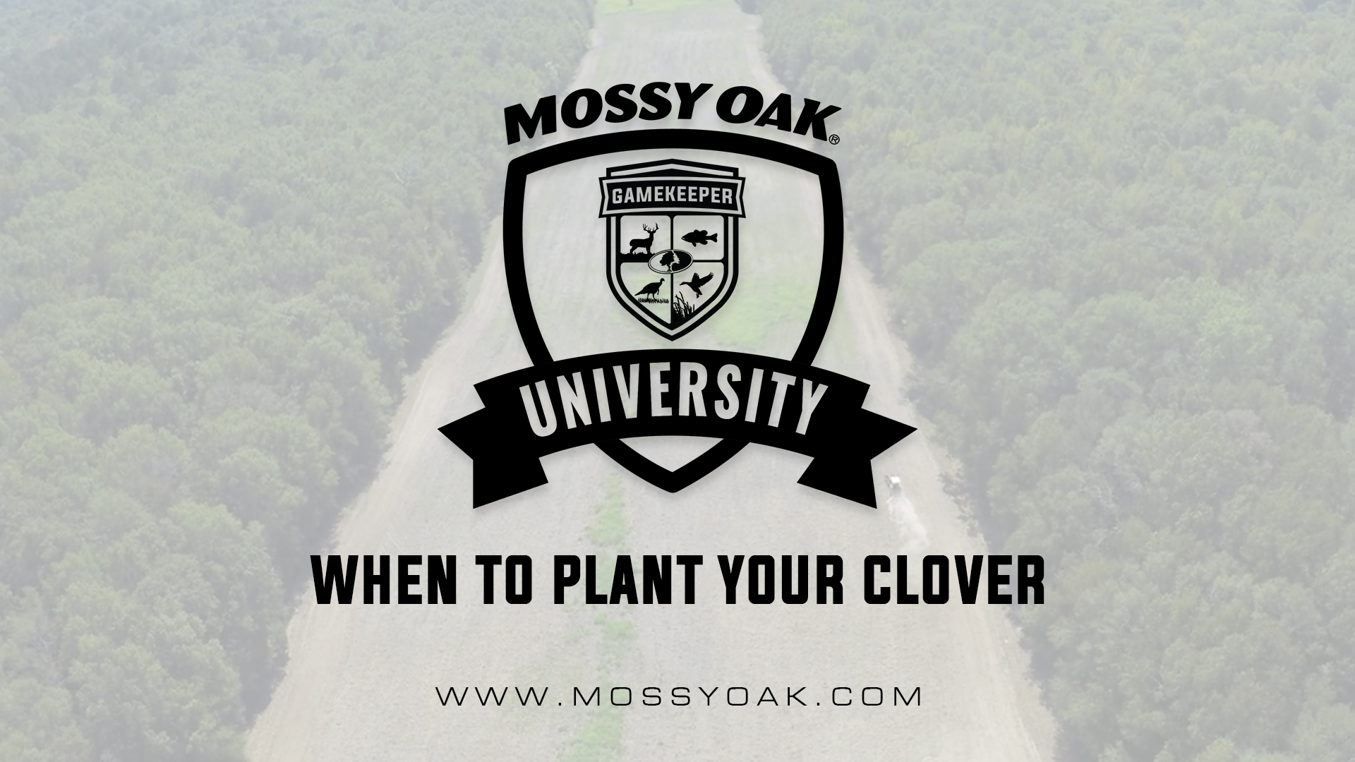 When to Plant Your Clover