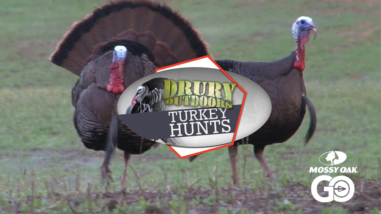 Matt Drury Makes a New Turkey Tradition • DOD TV Mossy Oak GO