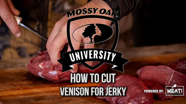 How to Cut Venison for Jerky Like a P...