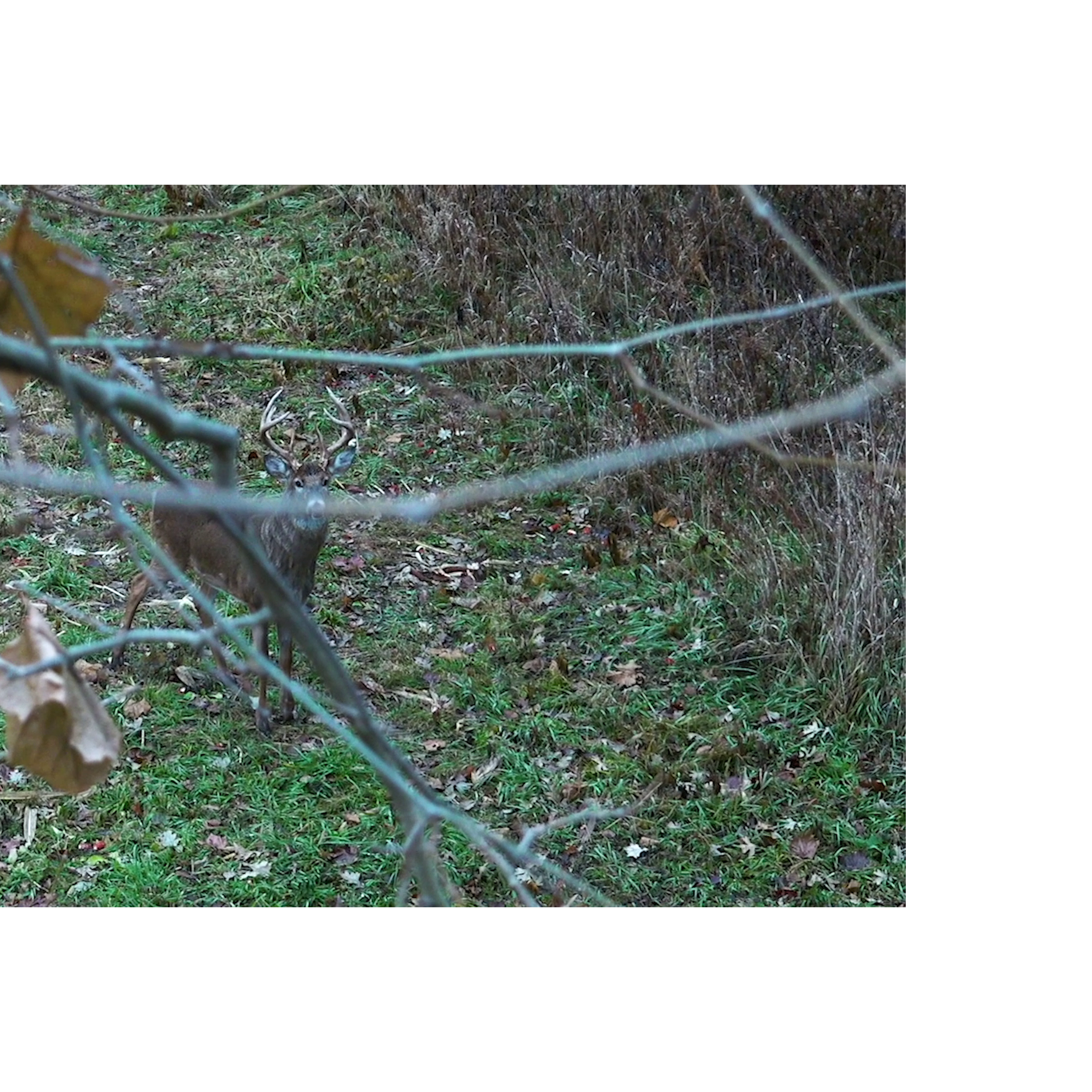 Close One 2 • Tim Wells