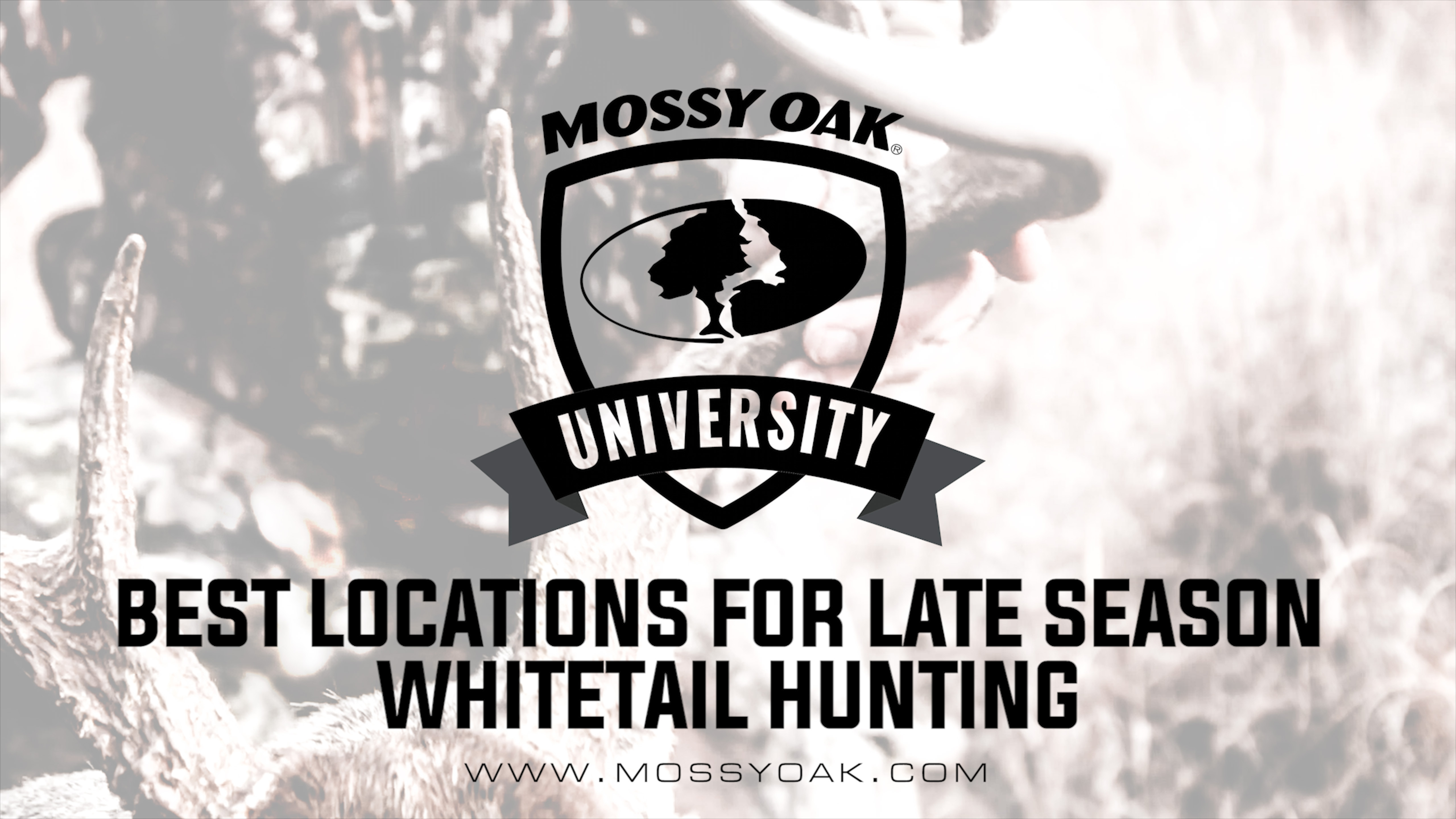 Best Locations For Late Season Whitetail Hunting