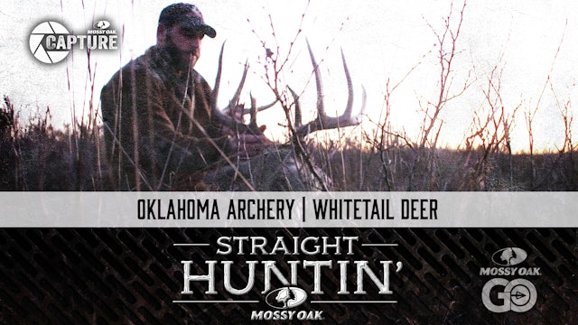 Oklahoma Archery • Whitetail Deer • Straight Huntin'