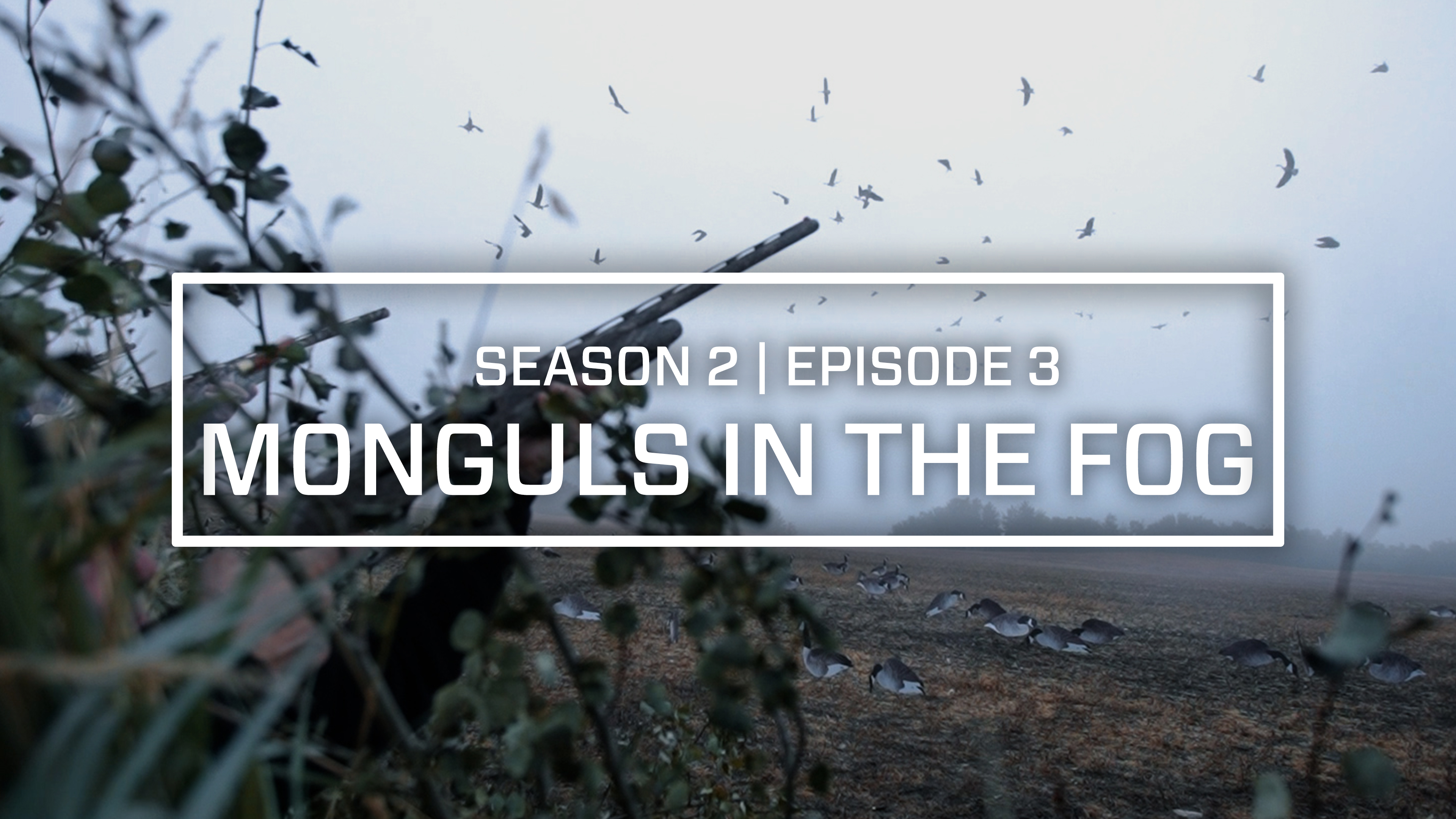 Last Pass Episode 3 • Monguls in the Fog