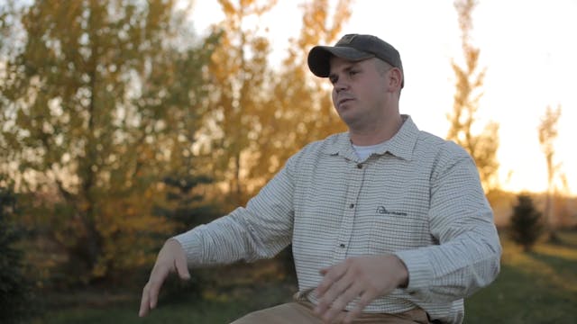 Impending Geese and Mallards II  • DU TV