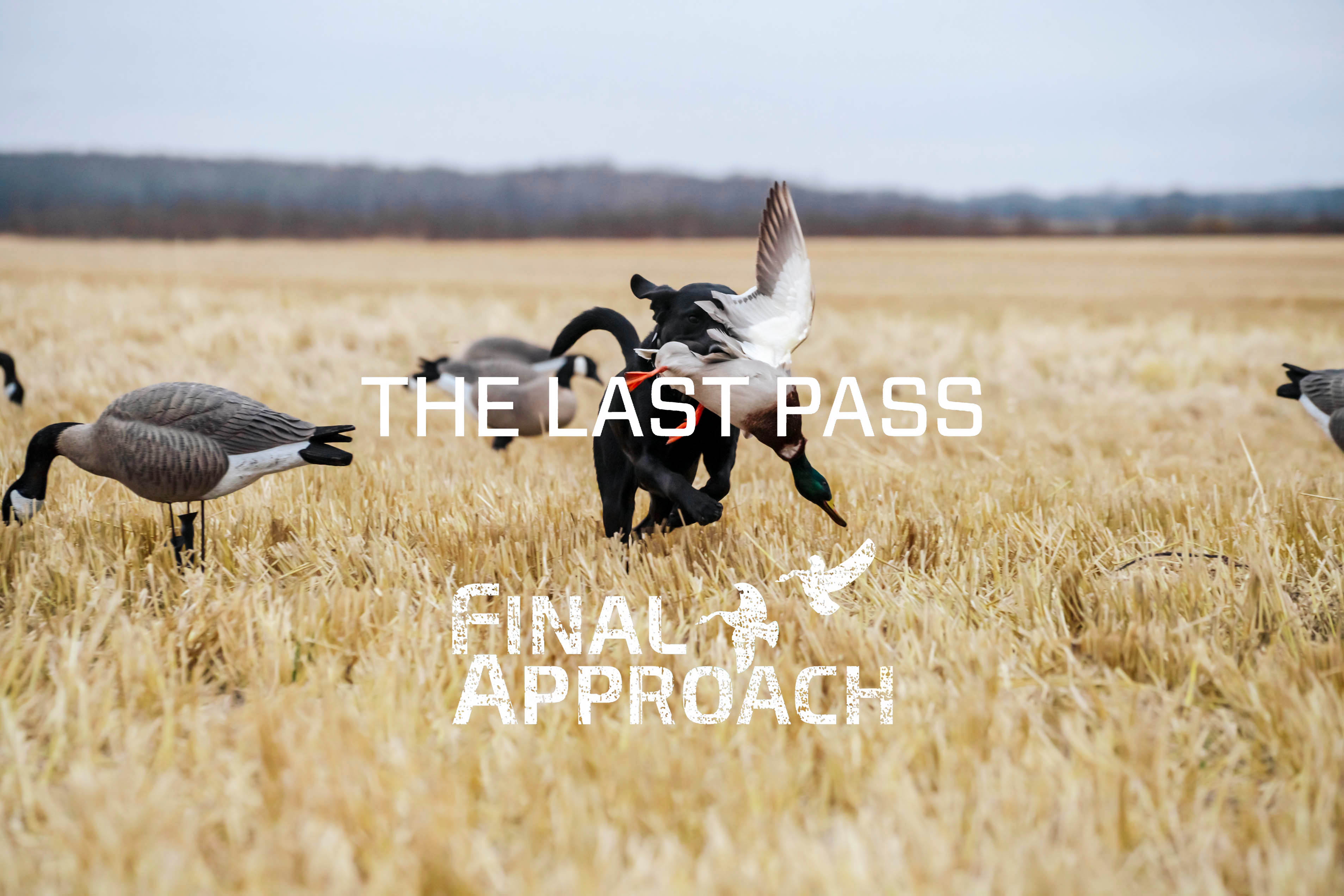 Last Pass Episode 1 • Little Bit Of Green Never Hurt Nobody!