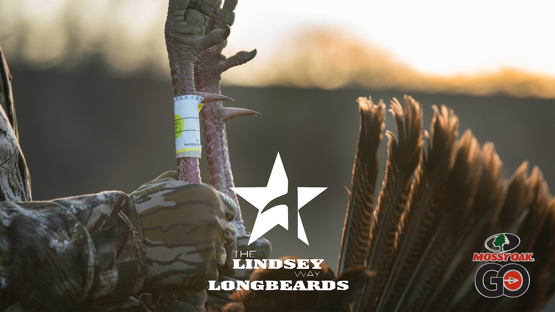 A Family Affair • Lindsey Way Longbeards