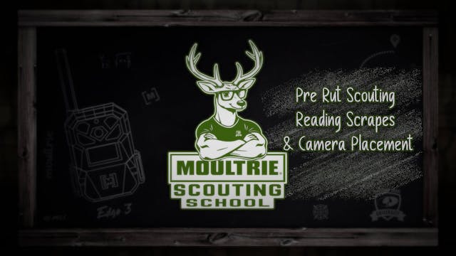 Pre-Rut Scouting • Reading Scrapes & ...