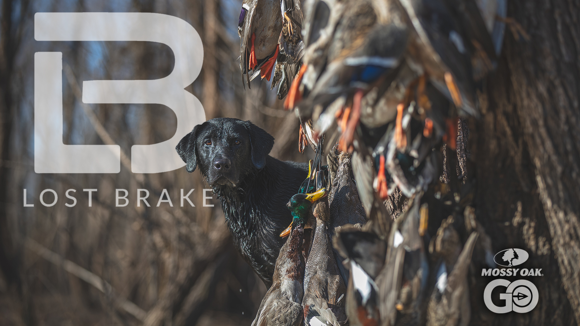 Lost Brake - A Mossy Oak Waterfowl Series