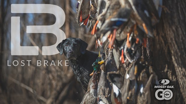 Lost Brake - A Mossy Oak Waterfowl Series