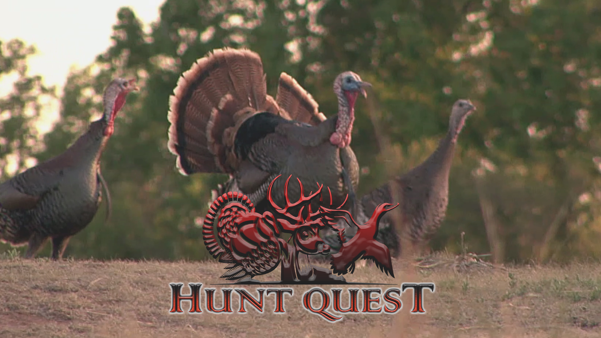 Texas Rio Grandes • Hunt Quest
