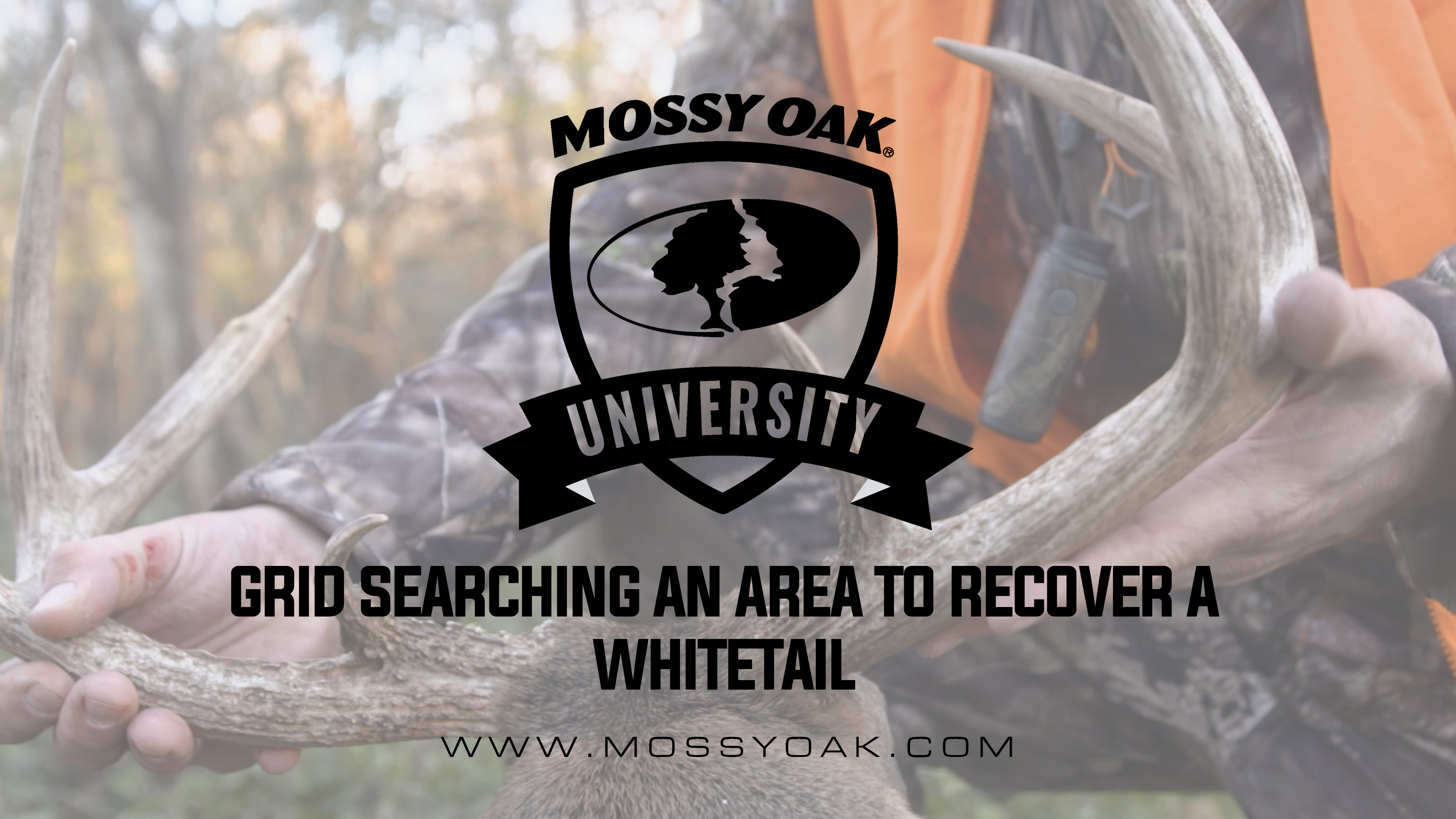 Recovering a Whitetail by Grid Searching an Area