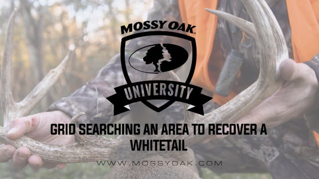 Recovering a Whitetail by Grid Search...