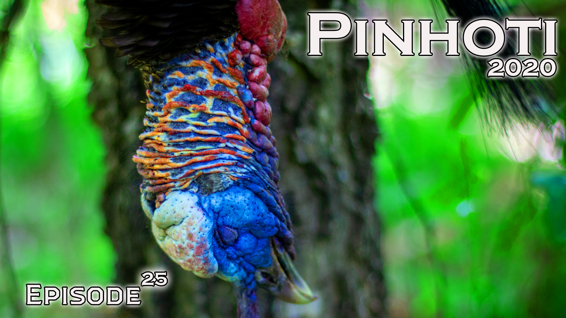 Pinhoti 2020 Ep 25 • Pinhoti Project