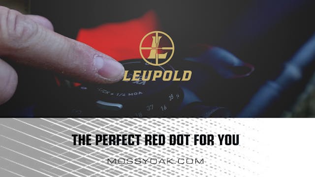 The Perfect Red Dot for You • Product...
