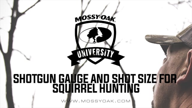 Shotgun Gauge And Shot Size For Squir...