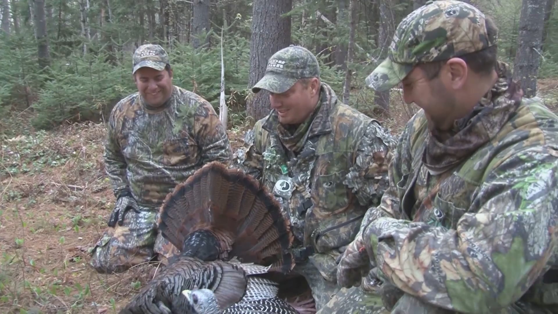 Live Free or Die • Avian X