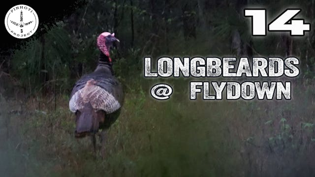 Pinhoti 2025 Ep 14 • Pinhoti Project