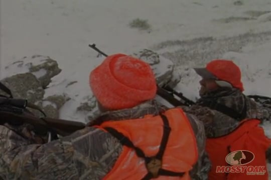 Snowbound Mulies Part 2