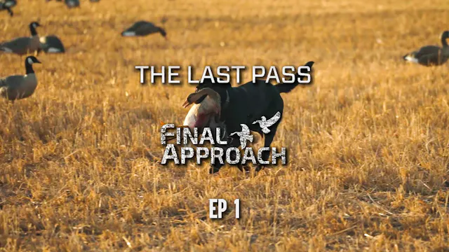 Last Pass Episode 1 • How Fast Can We...