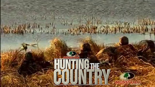 Ducks Y’all • Waterfowl Hunting in Ca...