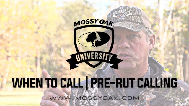 When Should You Call During Pre-Rut